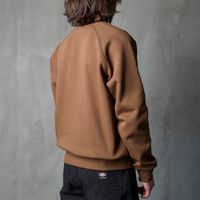 Толстовка мужская Carhartt WIP Chase Sweatshirt артикул:I033660_chocolate - купить в магазине Дайс