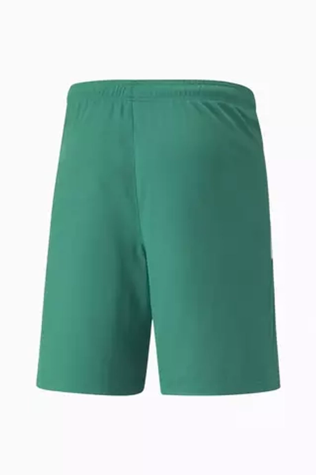 Шорты Puma teamLIGA