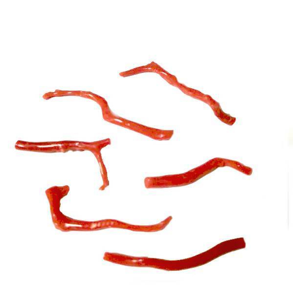 Веточка красный натуральный коралл асс.