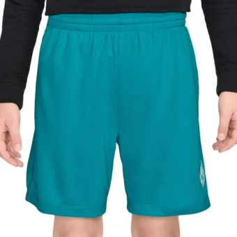 Nike Boys Dri-FIT Multi - energy/white