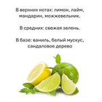 Лимон и лайм, кубики восковые для ароматизации, 10 штук