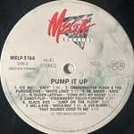 Сборник Pump It Up (Германия 1990г.)