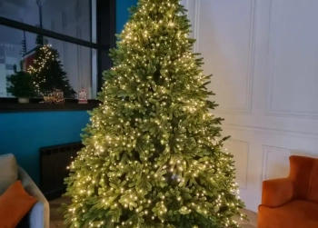 Елки с гирляндой