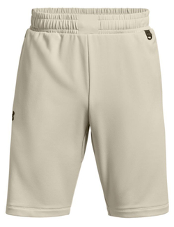Мужские теннисные шорты Under Armour Men's Armour Terry Shorts - stone/pitch gray