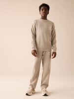 Джемпер и брюки в комплекте для мальчика Next E27-906, Бежевый