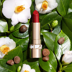 Clarins Joli Rouge - Кремовая помада с атласным финишем, 3,5 g
