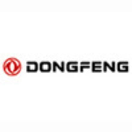 Коврик в багажник DONGFENG