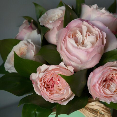 3. Keira в маленькой шляпной коробке