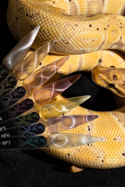 Monami Гель-лак Snake Eye №4, 8г