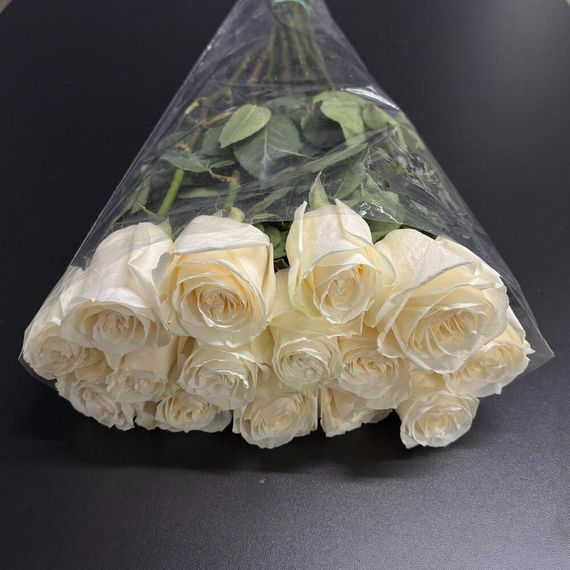 розы Vendella Tessa