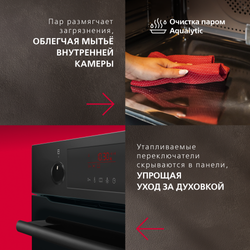 Духовой шкаф Hansa Pro Chef BOESS696001