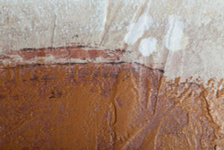 Картина 100х100см Tomas Stern 87070