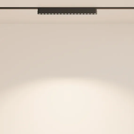 Трековый светильник Точки / Points Radity 4000K 16Вт 36° Technical tr082-1-18w4k-m-b