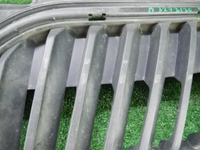 Решетка радиатора Skoda Rapid (2012-2020)