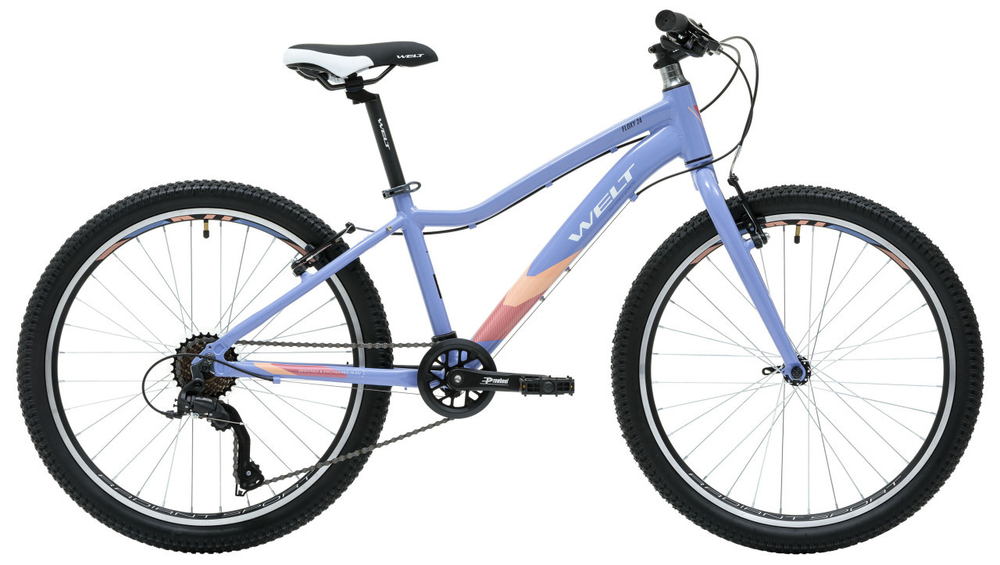 Подростковый велосипед Welt Floxy 24 R (2024)