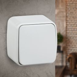 3-101-01 Intro Выключатель, 10А-250В, IP20, ОУ, Polo, белый | Intro Polo