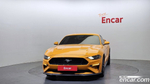 Ford Mustang GT Coupe (12.2019)