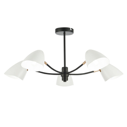 Светильник потолочный Evoluce Satta SLE103602-05