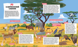 Дикие животные. Детям обо всем на свете