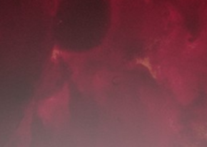 Fruits (Фрукты)