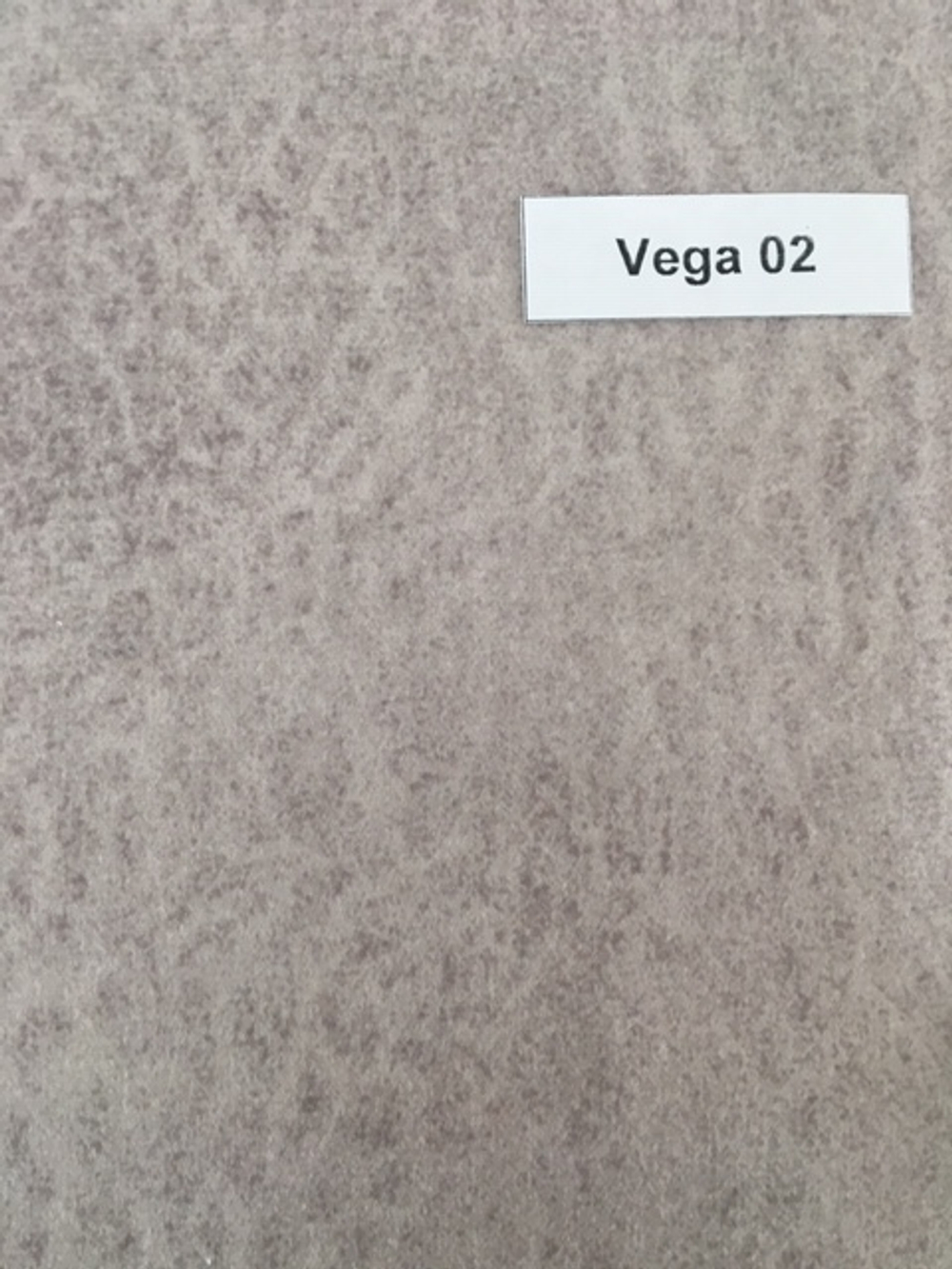 Vega 02