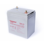 Тяговая аккумуляторная батарея EVEREST TNE 6-270
