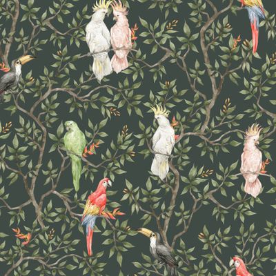 Тропические птицы, попугаи на дереве