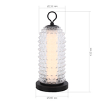 Светильник настольный SAGUARO LED 1х12W