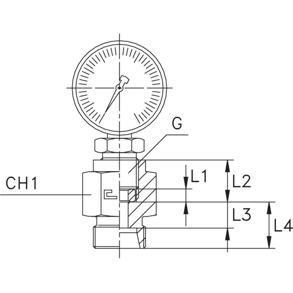 Штуцер DS12 BSP1/2"