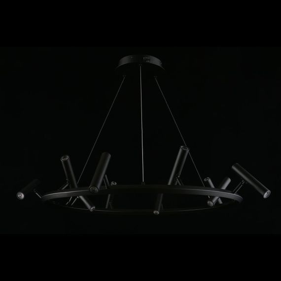 Подвесная светодиодная люстра Aployt Honor APL.067.03.50