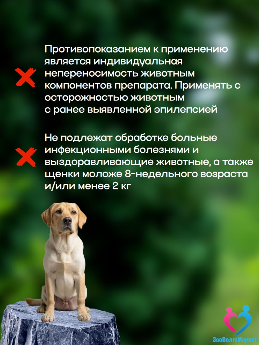 Рабектра 500 мг жевательная таблетка против блох и клещей для собак весом 10-20 кг, 1 таблетка