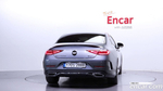 Mercedes-Benz CLS-Class C257 CLS300d 4MATIC (04.2022)