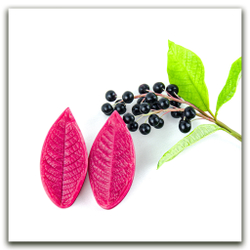 Листья черёмухи средние