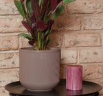 Горшок с дренажной системой РОССИ VipSet 1,9л инжир