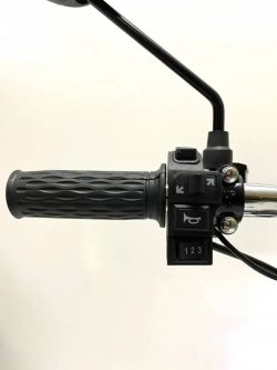 Электровелосипед Green Camel Транк Монстр PRO (R16FAT 500W 60V20Ah) гидравлика