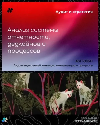 Анализ системы отчетности, дедлайнов и процессов