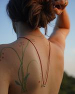 Сет Яблочко от яблоньки на шнурке