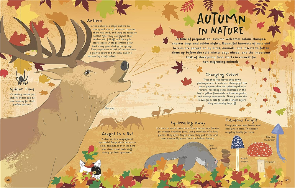 The Magic of Seasons: A Fascinating Guide to Seasons Around the World Hardcover