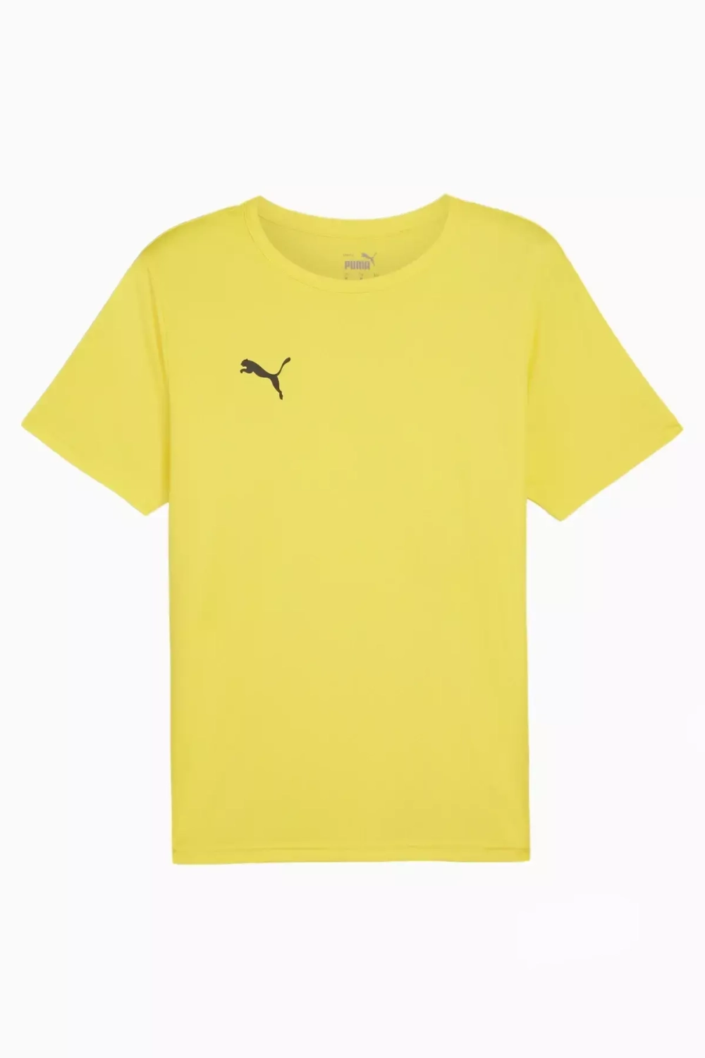 Футболка Puma teamRISE Matchday