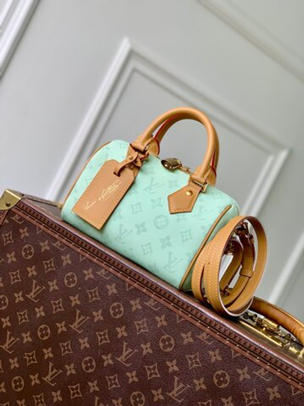 Louis Vuitton Speedy Bandouliere 20