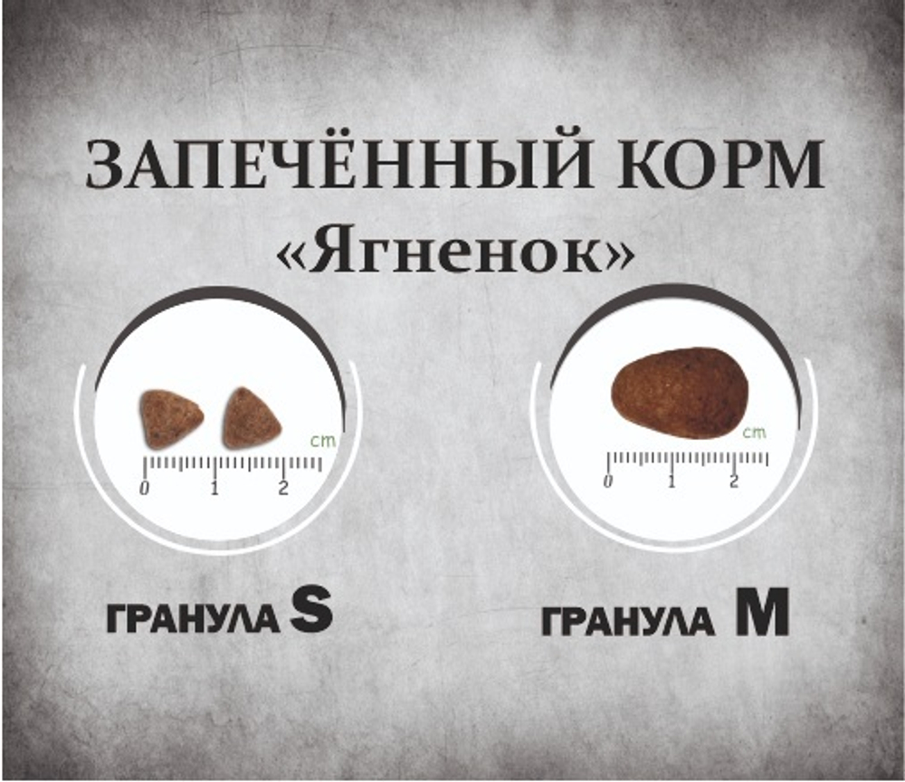 Гранулы