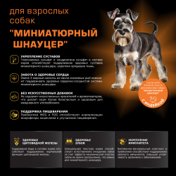 Корм сухой для взрослых собак породы Миниатюрный Шнауцер, с индейкой, 800 гр, QUATTRO