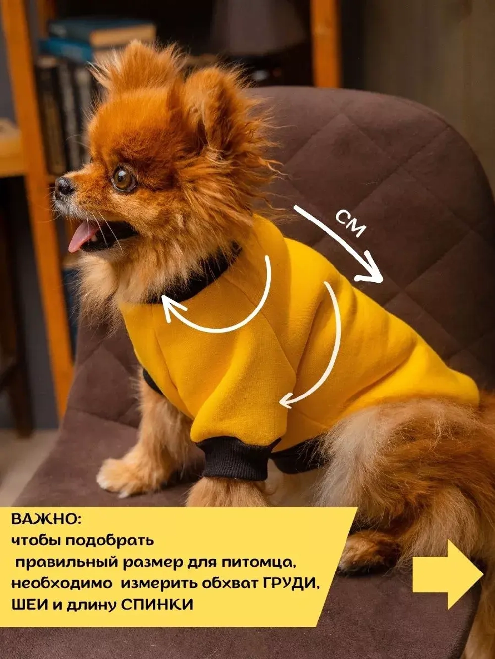 Толстовка для собак и кошек