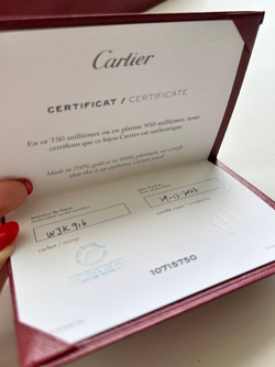 Браслет Cartier Juste un Clou