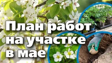 Майские праздники в саду: чек-лист главных дел на длинные выходные