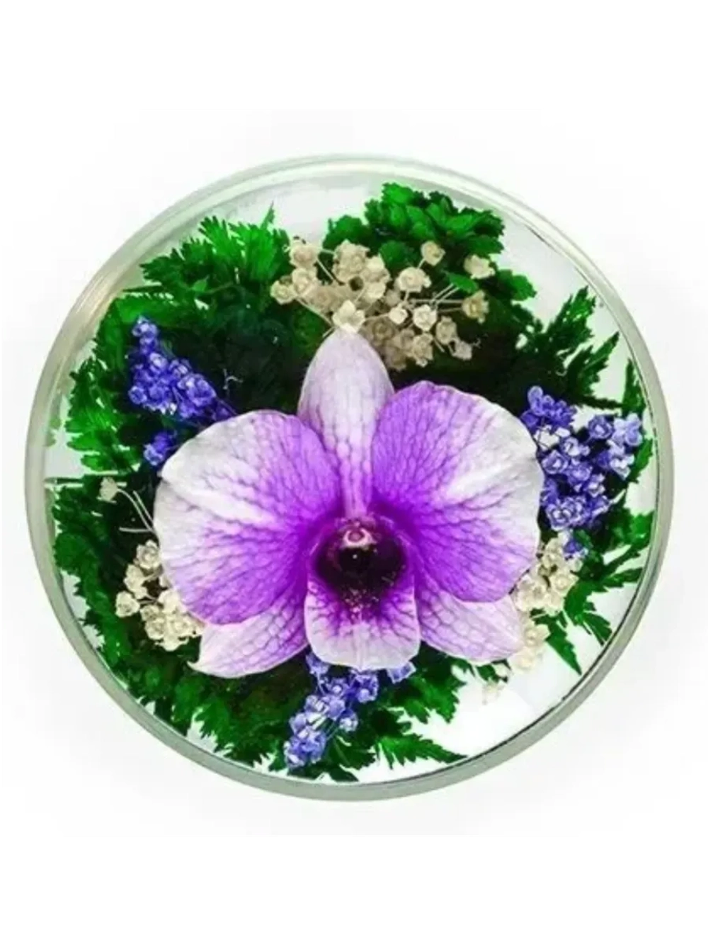 натуральные цветы в стекле, вакуум 05.21