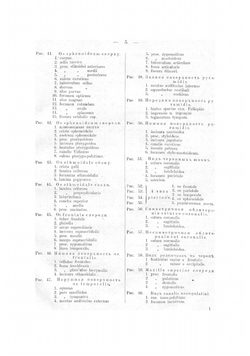 Лекции нормальной анатомии проф. А.И. Таренецкого | Таренецкий Александр Иванович