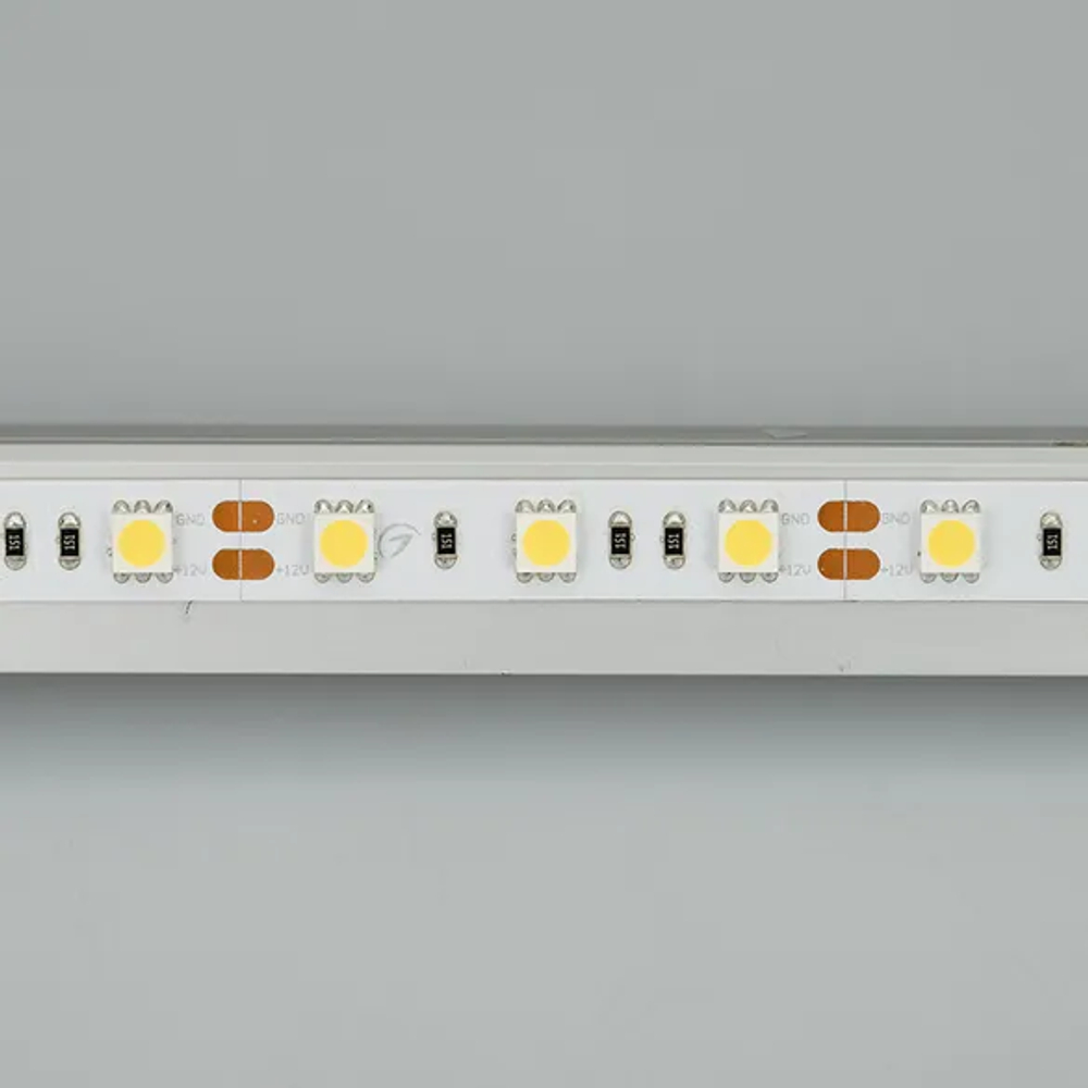 Светодиодная лента RT 2-5000 12V White6000 2x (5060, 300 LED, LUX) (Arlight, 14.4 Вт/м, IP20) 012339(B)