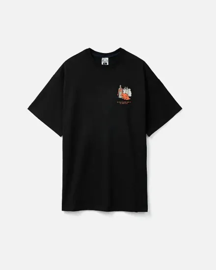 Футболка Anteater 388 чёрный