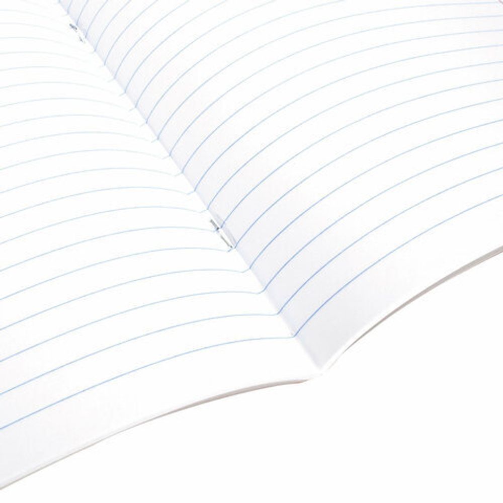 Тетрадь 24 л. BRAUBERG линия, обложка картон, "ЦВЕТНОЙ", 106487, 5шт